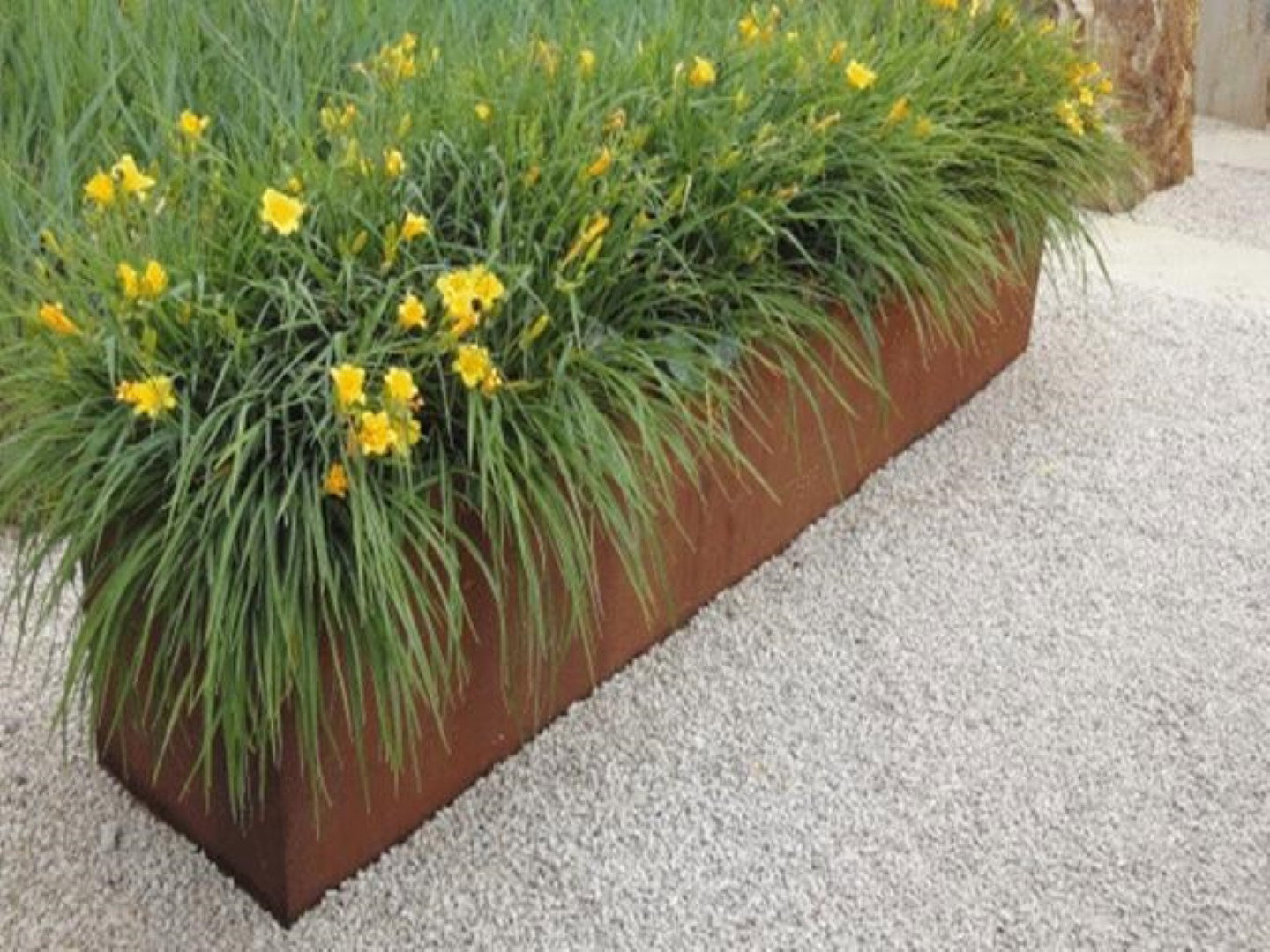 https://cdn.warentuin.nl/media/catalog/product/1/7/1706144561334251_geroba_plantenbak_plantenbak_artesa_roestkleurig_150x50x60_cm__45cc.jpg