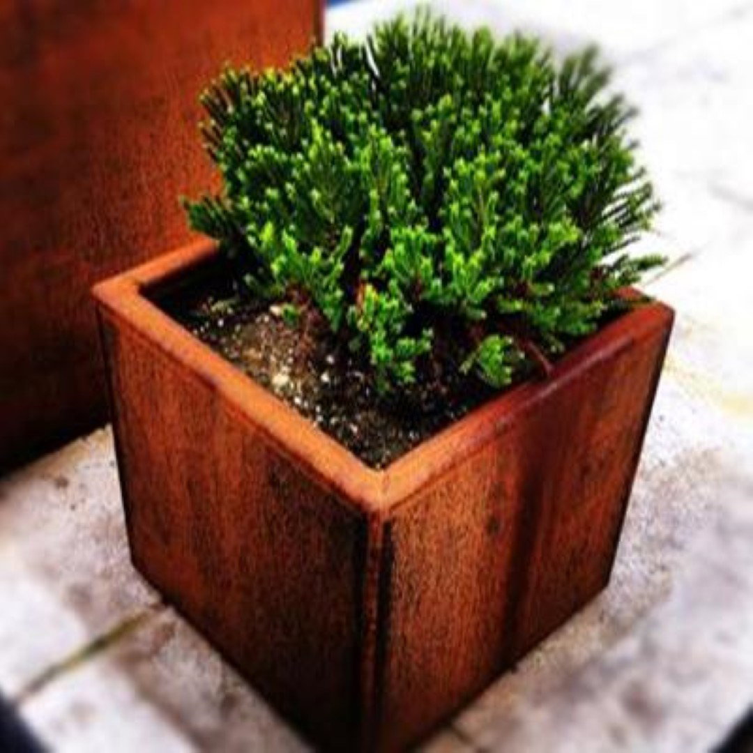 https://cdn.warentuin.nl/media/catalog/product/1/7/1706144561334261_geroba_plantenbak_plantenbak_quadra_roestkleurig_40x40x40_cm_g_5bcd.jpg