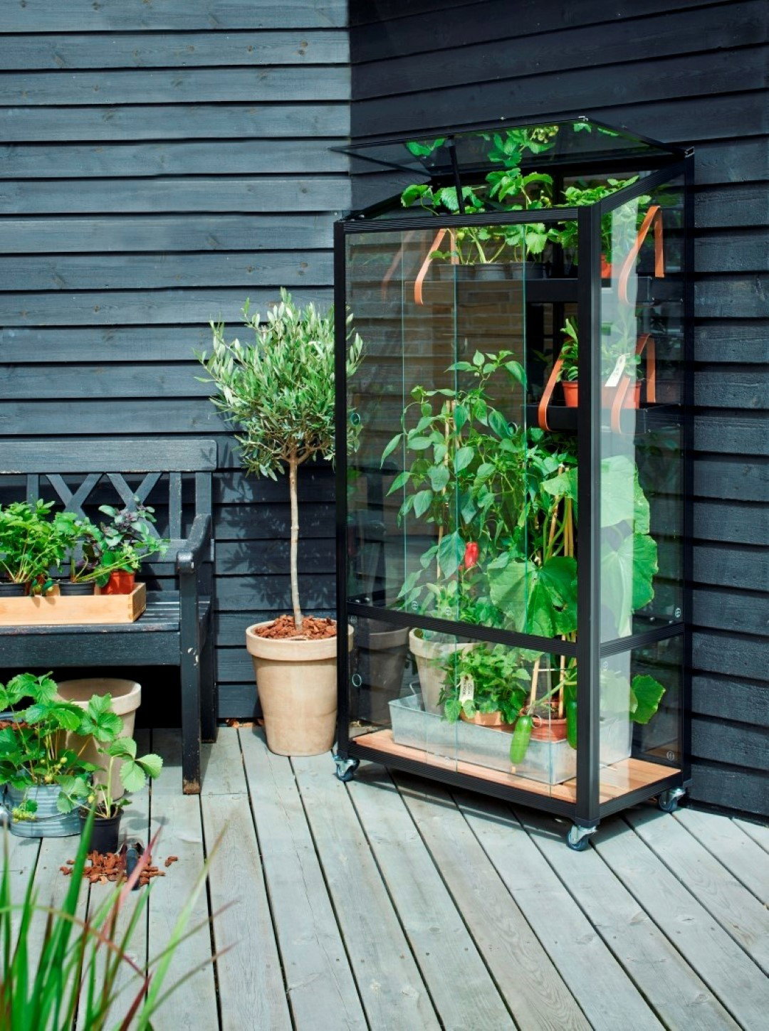 https://cdn.warentuin.nl/media/catalog/product/1/7/1708719214381493_2_juliana_muurkas_city_garden_zwart_veiligheidsglas_3_mm_julia_def2.jpg