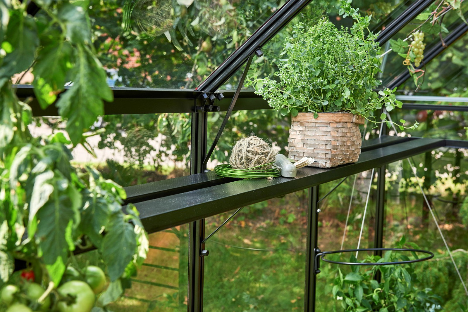 https://cdn.warentuin.nl/media/catalog/product/1/7/1718719214381356_juliana_kweekschap_hanging_tray_76x14_5x6_cm_juliana_0d47.jpg