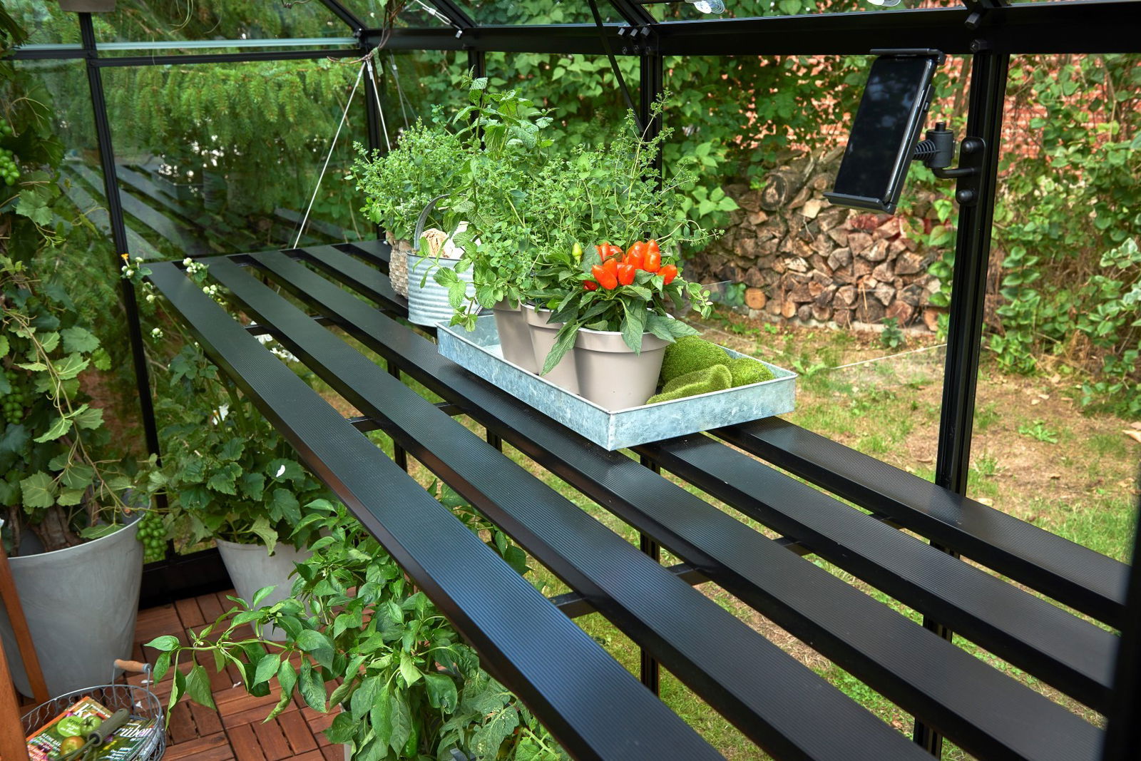 Kweektafel Qube 68, geintegreerd, zwart - Royal Well