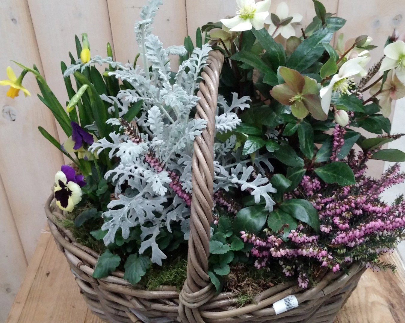 https://cdn.warentuin.nl/media/catalog/product/1/7/1728149900041827_warentuin_natuurlijk_plantenbak_buiten_xl_mand_plantenbak_buit_f4cf.jpg
