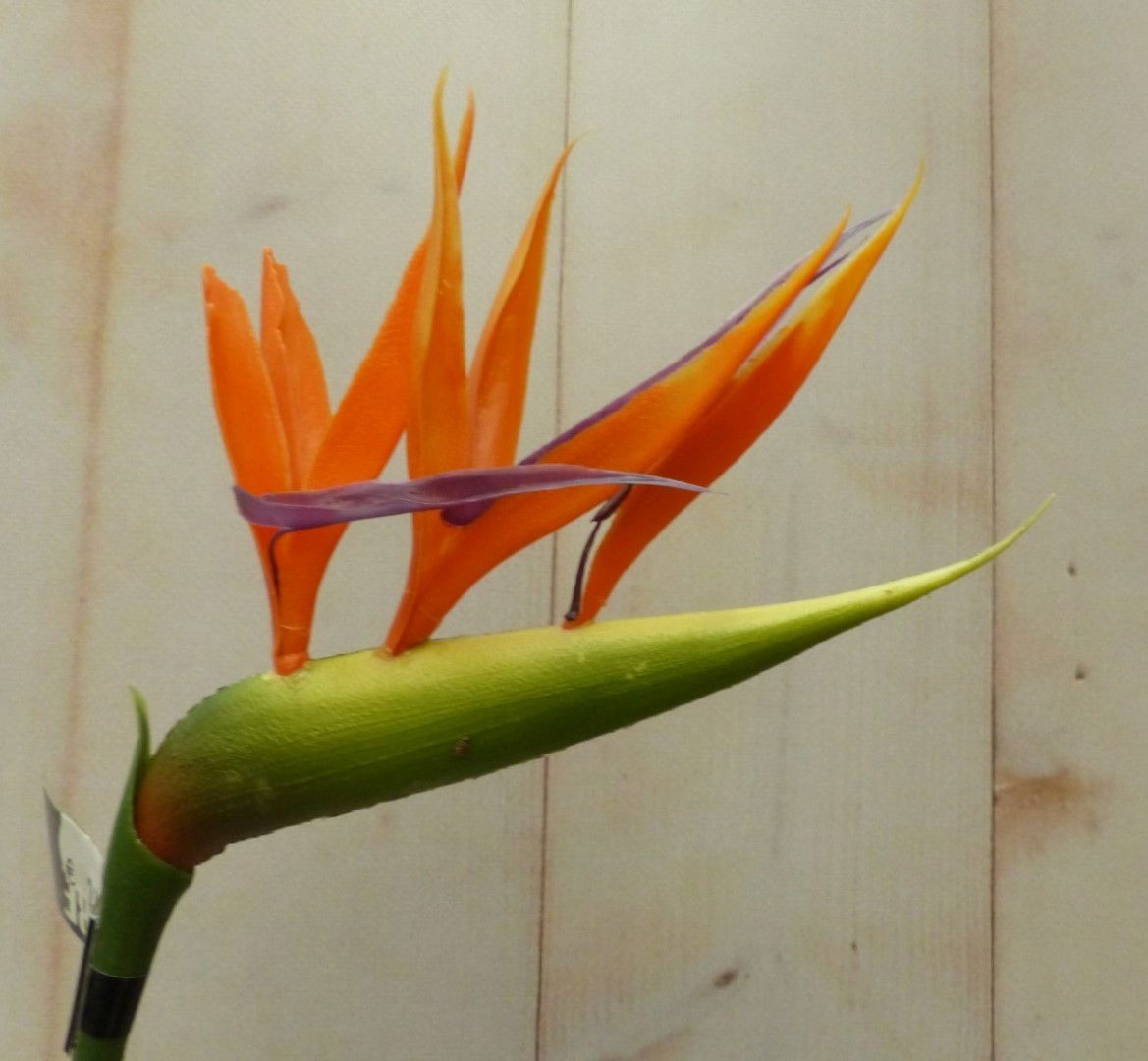 https://cdn.warentuin.nl/media/catalog/product/1/7/1732145566440301_2_warentuin_mix_kunstplant_kunstparadijsvogelbloem_strelitzia__0866.jpg