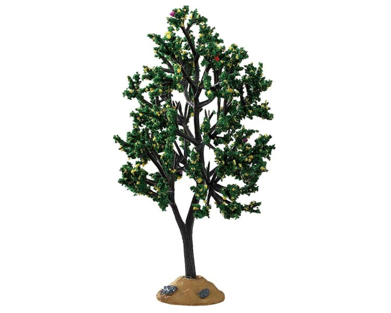 Alder tree LEMAX