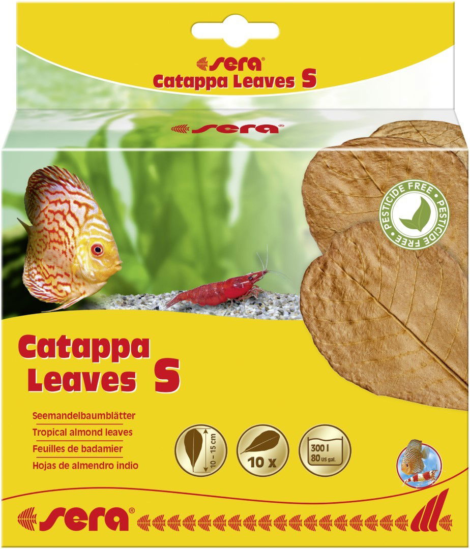 https://cdn.warentuin.nl/media/catalog/product/1/7/1774001942452434_sera_waterverbeteraar_catappa_leaves_s_10_15_cm_sera_4561.jpg