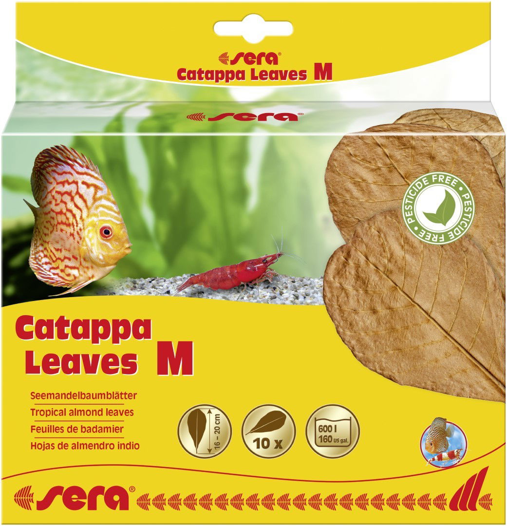 https://cdn.warentuin.nl/media/catalog/product/1/7/1774001942452441_sera_waterverbeteraar_catappa_leaves_m_16_20_cm_sera_cfcb.jpg