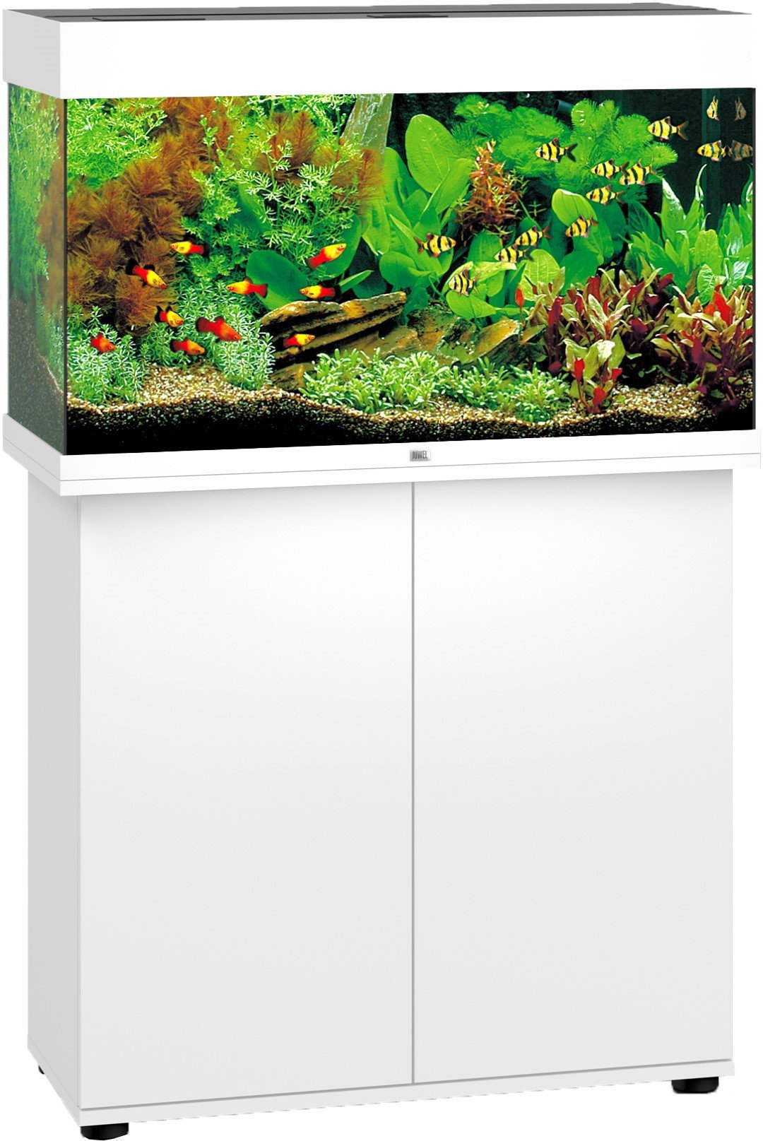 https://cdn.warentuin.nl/media/catalog/product/1/7/1774022573014501_juwel_dierenaccessoires_juwel_aquarium_rio_125_led_met_filter__2709.jpg