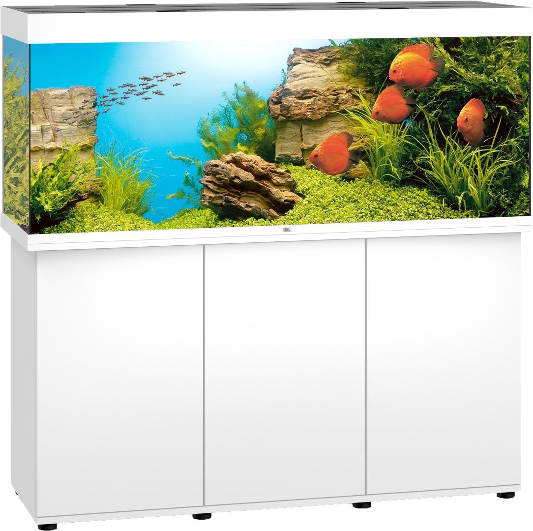 https://cdn.warentuin.nl/media/catalog/product/1/7/1774022573054507_juwel_dierenaccessoires_juwel_aquarium_rio_450_led_met_filter__40f4.jpg