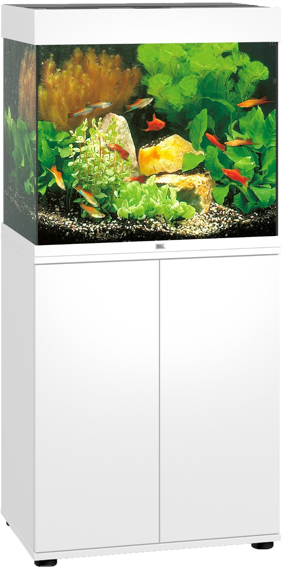 https://cdn.warentuin.nl/media/catalog/product/1/7/1774022573114508_juwel_dierenaccessoires_juwel_aquarium_lido_120_led_met_filter_3b14.jpg