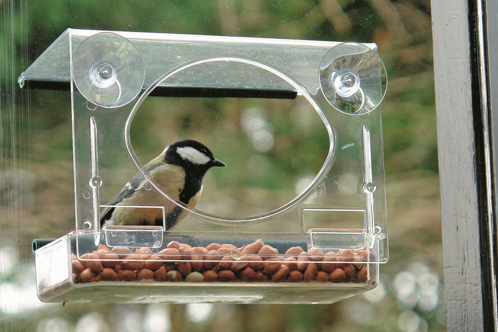 https://cdn.warentuin.nl/media/catalog/product/1/7/1775060024721416_bolmso_birdfeeder_vogelvoederhuisje_vogelvoederhuisje_bolmso_1_0f01.jpg