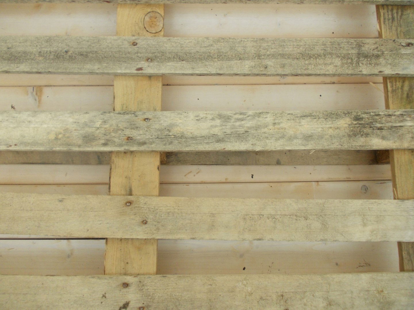 https://cdn.warentuin.nl/media/catalog/product/1/7/1775146325478734_2_warentuin_pallets_blokpallet_11b7.jpg