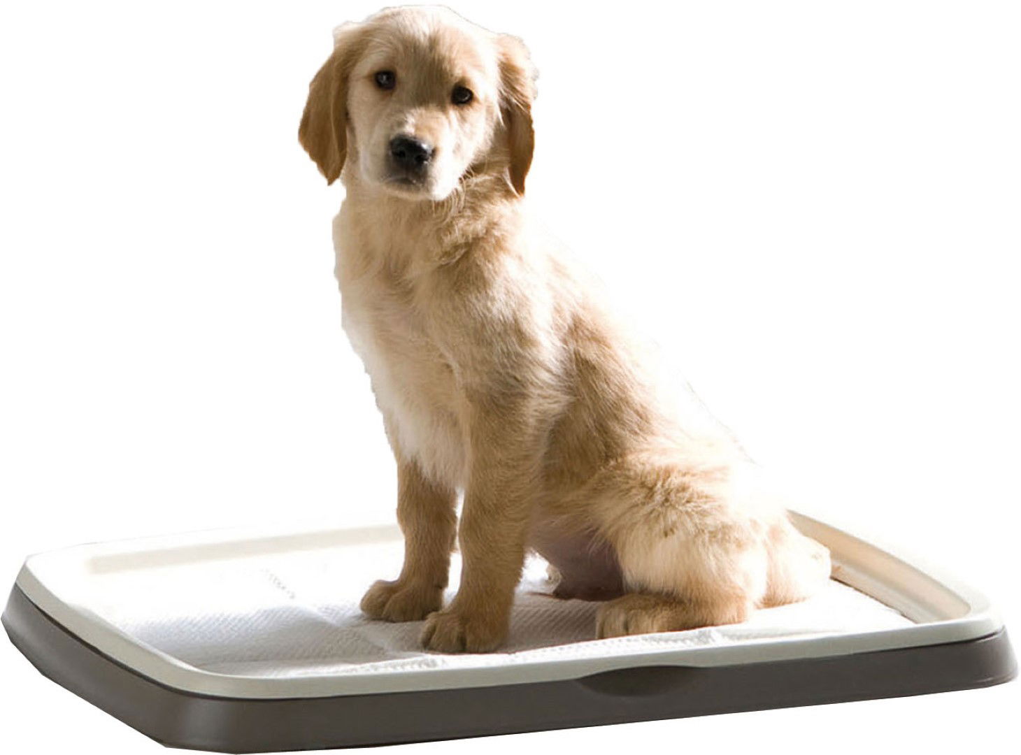 https://cdn.warentuin.nl/media/catalog/product/1/7/1775411388032418_savic_dierenaccessoires_savic_puppy_trainer_starterkit_large_s_bf92.jpg