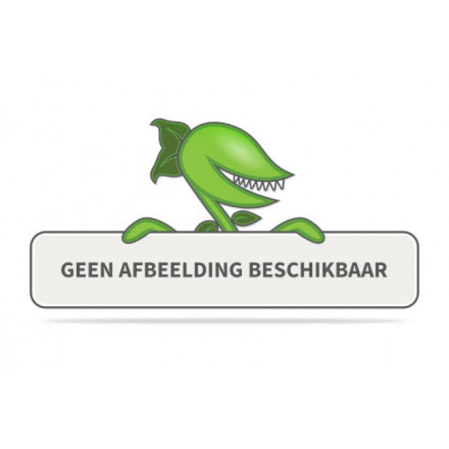 Nampook Flamingo Luchtbed 142X137X97Cm nampook kopen in de aanbieding