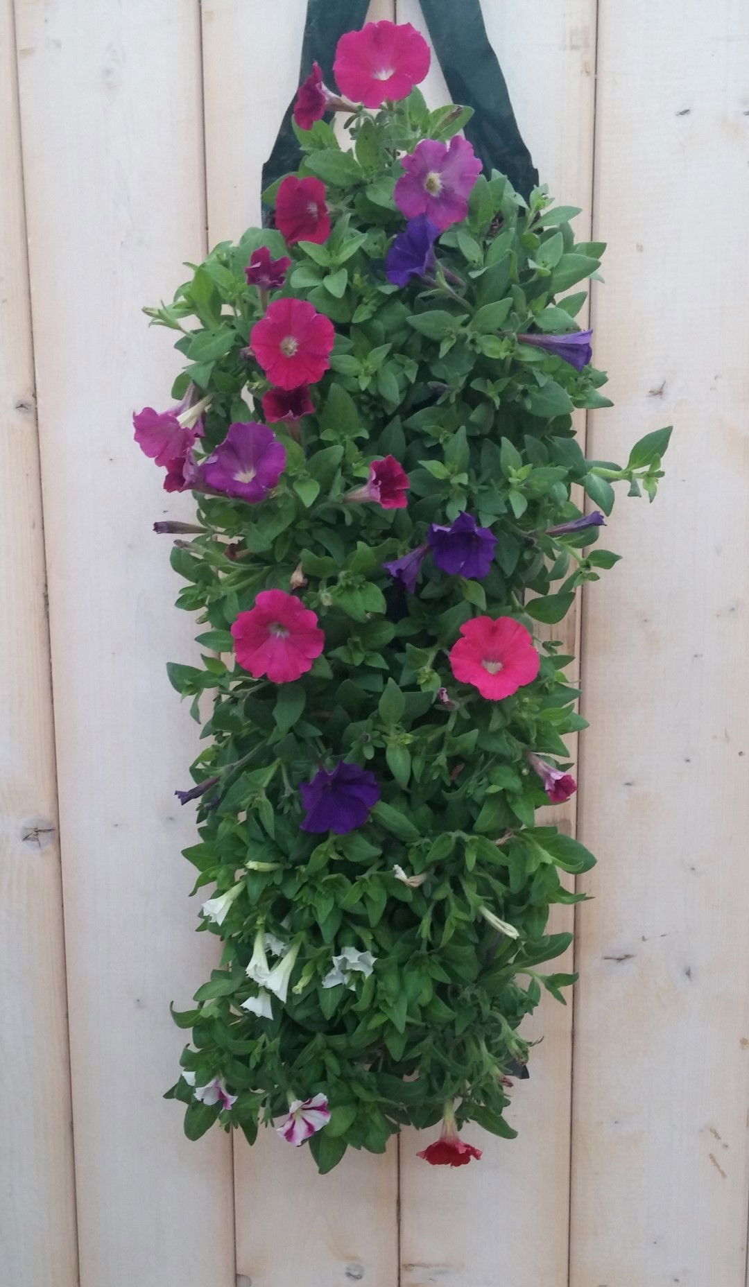 https://cdn.warentuin.nl/media/catalog/product/1/7/1778149900041915_warentuin_natuurlijk_hangzak_hangzak_surfina_mix_1547.jpg