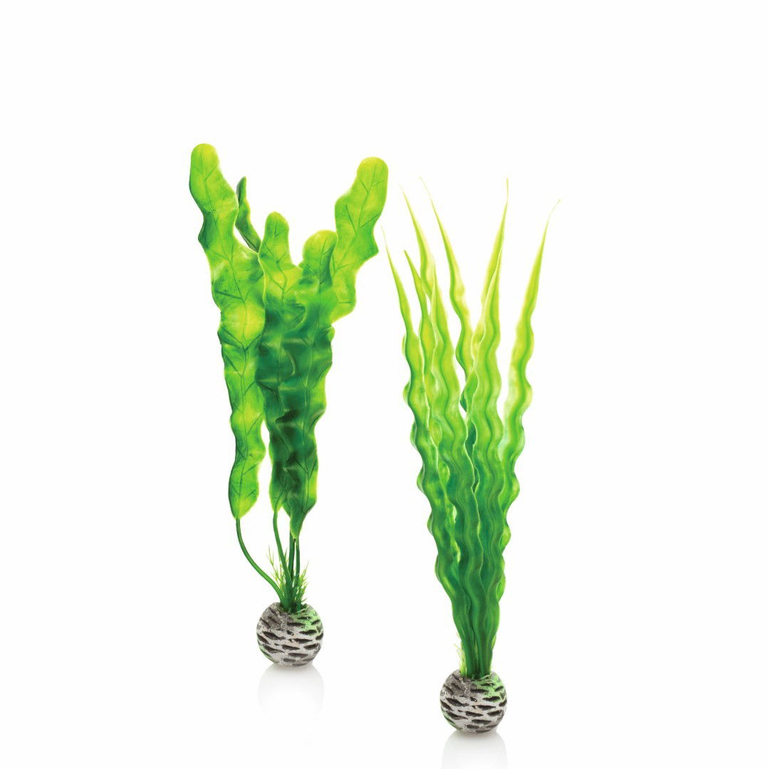 Plantenset medium groen biOrb