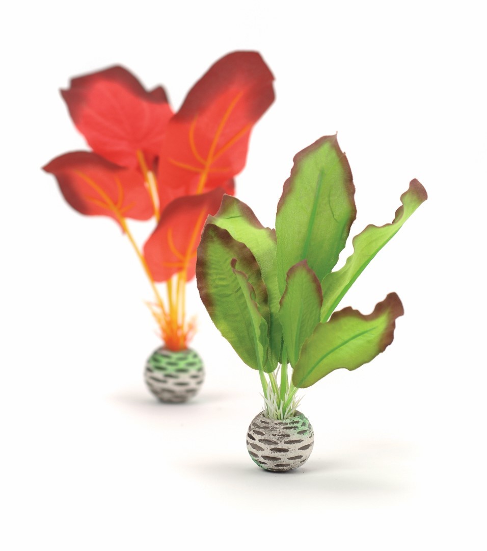 https://cdn.warentuin.nl/media/catalog/product/1/7/177822728005033_biorb_aquariumtoebehoren_aquariumtoebehoren_zijden_plantenset_k_bd08.jpg