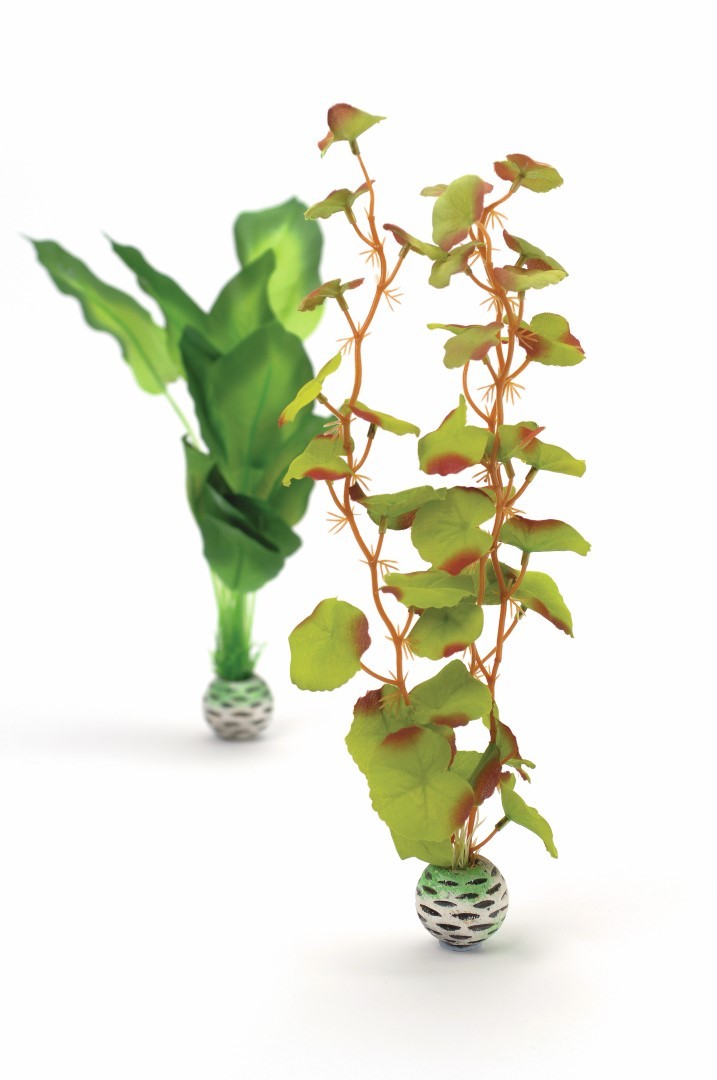 https://cdn.warentuin.nl/media/catalog/product/1/7/177822728005040_biorb_aquariumtoebehoren_aquariumtoebehoren_zijden_plantenset_m_153e.jpg
