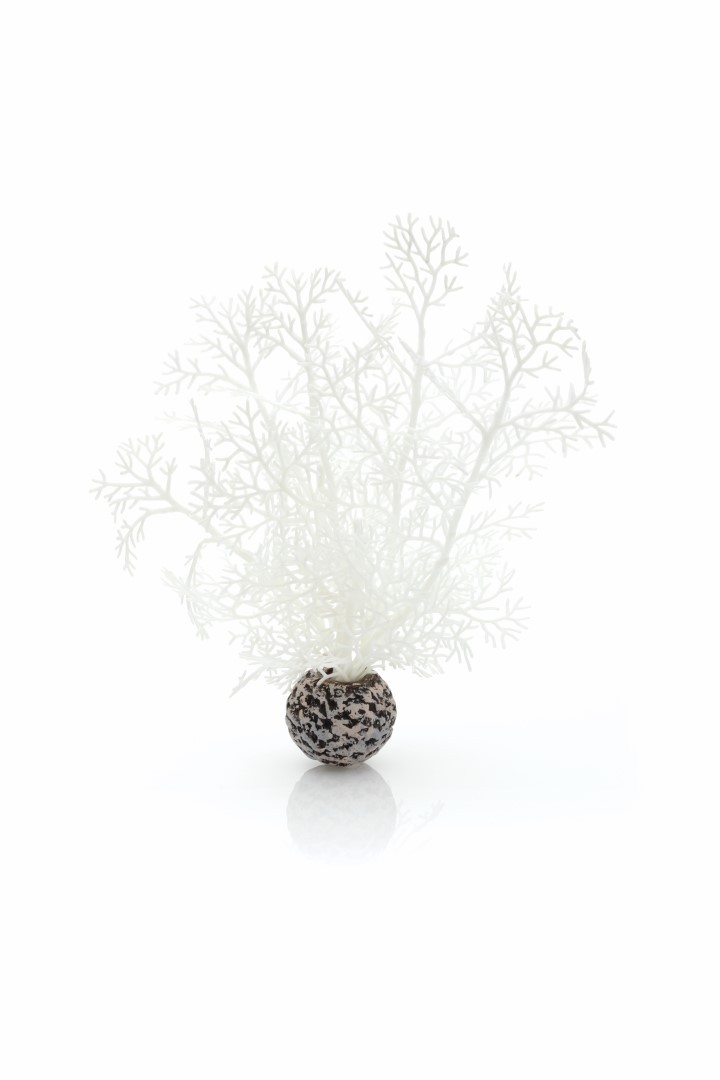 https://cdn.warentuin.nl/media/catalog/product/1/7/177822728005309_biorb_aquariumtoebehoren_aquariumtoebehoren_hoornkoraal_klein_w_55b5.jpg