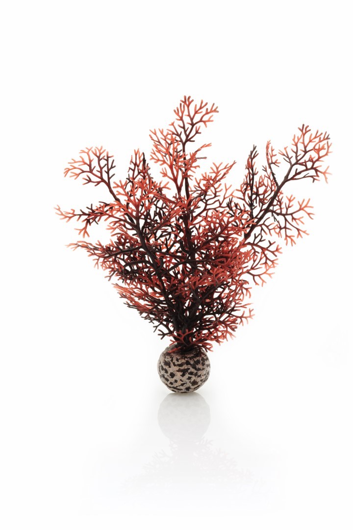 https://cdn.warentuin.nl/media/catalog/product/1/7/177822728005316_biorb_aquariumtoebehoren_aquariumtoebehoren_hoornkoraal_klein_d_a3d3.jpg