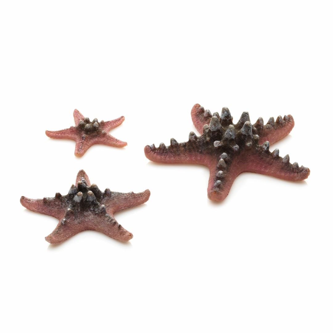 https://cdn.warentuin.nl/media/catalog/product/1/7/177822728005699_biorb_aquariumtoebehoren_aquariumtoebehoren_zeester_set_3_roze__ac17.jpg