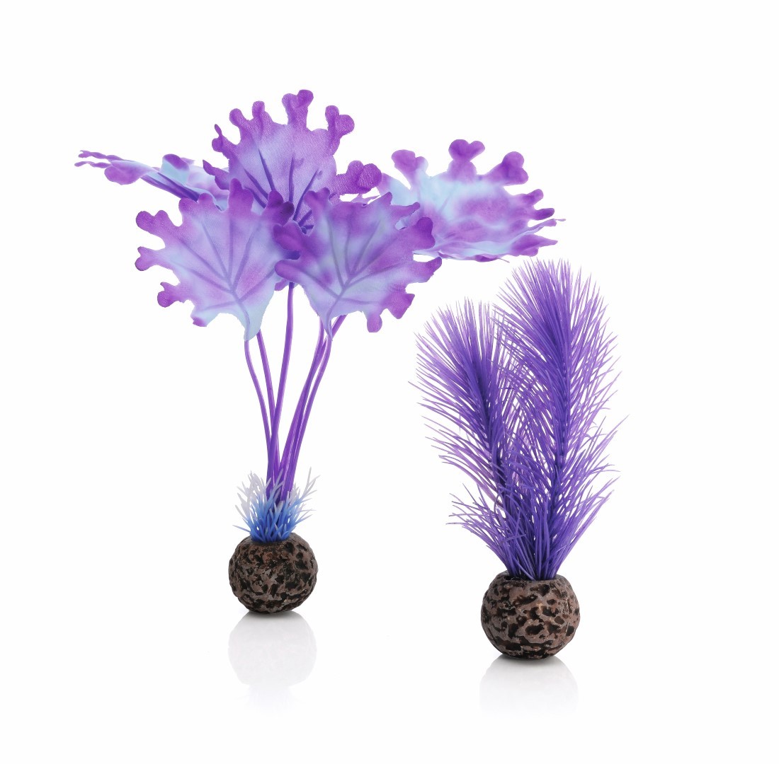 https://cdn.warentuin.nl/media/catalog/product/1/7/177822728005989_biorb_aquariumtoebehoren_aquariumtoebehoren_zeewier_set_klein_p_f1db.jpg