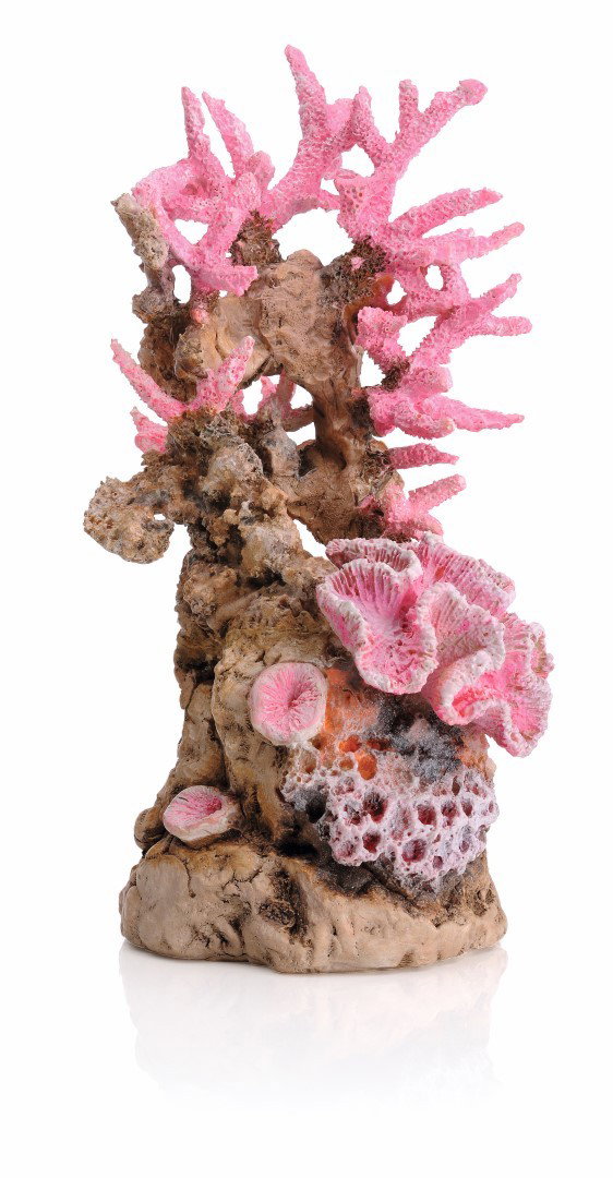 https://cdn.warentuin.nl/media/catalog/product/1/7/177822728006603_biorb_aquariumtoebehoren_aquariumtoebehoren_koraalrif_ornament__264a.jpg