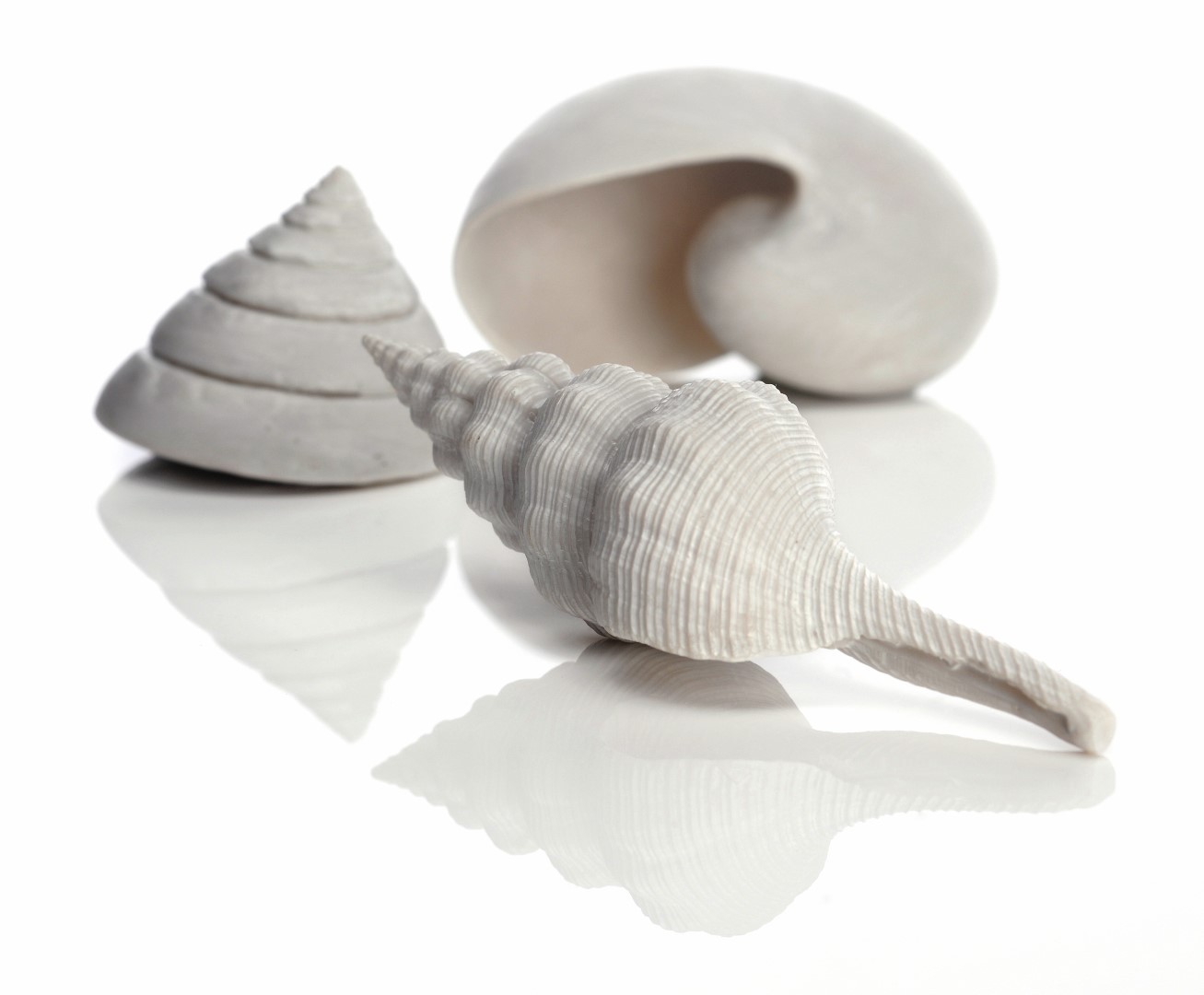 https://cdn.warentuin.nl/media/catalog/product/1/7/177822728006665_biorb_aquariumtoebehoren_aquariumtoebehoren_schelp_set_3_wit_bi_8055.jpg