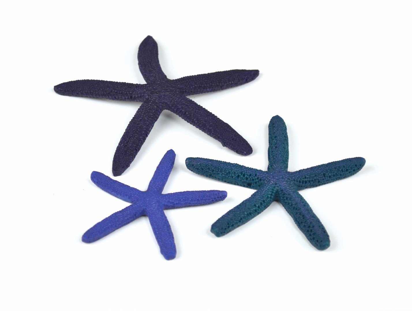 https://cdn.warentuin.nl/media/catalog/product/1/7/177822728007266_biorb_aquariumtoebehoren_aquariumtoebehoren_zeester_set_3_blauw_726d.jpg