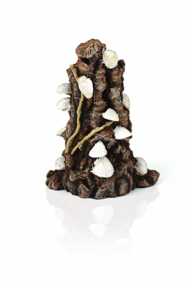 https://cdn.warentuin.nl/media/catalog/product/1/7/177822728007372_biorb_aquariumtoebehoren_aquariumtoebehoren_schelp_op_schors_or_ba1b.jpg