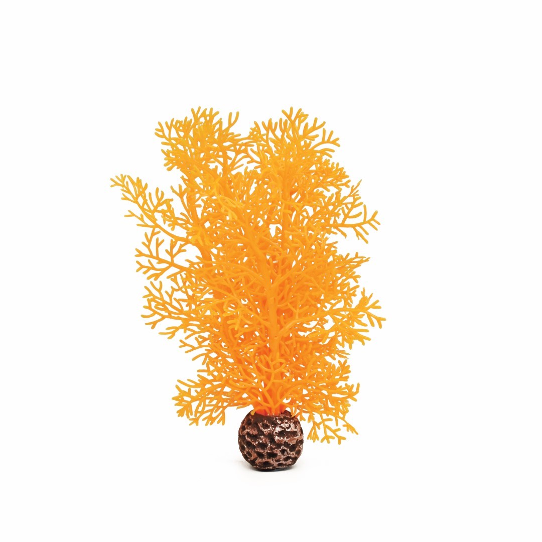 https://cdn.warentuin.nl/media/catalog/product/1/7/177822728007600_biorb_aquariumtoebehoren_aquariumtoebehoren_hoornkoraal_klein_o_4c5f.jpg