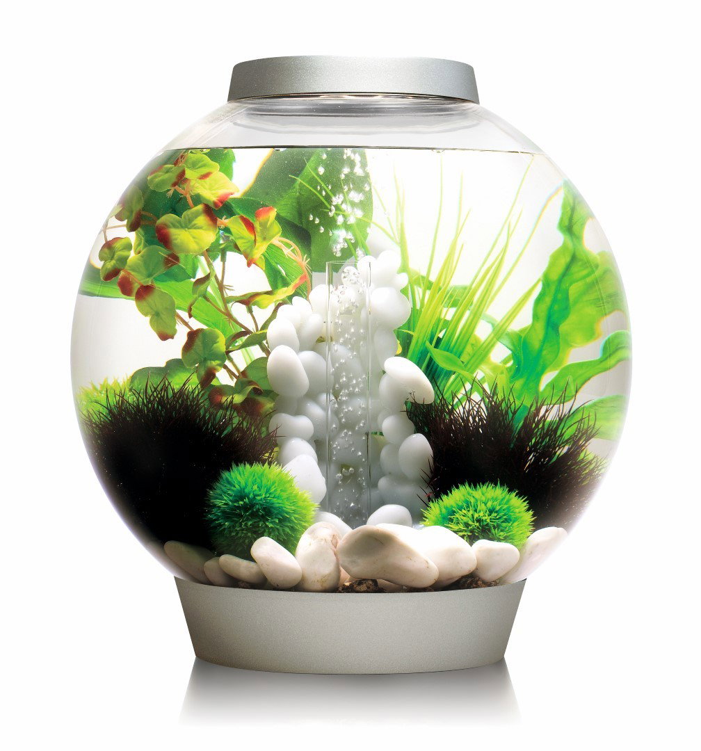 https://cdn.warentuin.nl/media/catalog/product/1/7/177822728007990_biorb_aquarium_aquarium_classic_30_liter_mcr_zilver_biorb_fba2.jpg