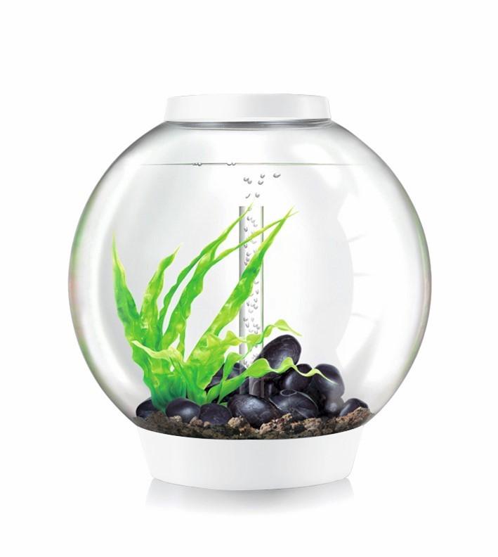 https://cdn.warentuin.nl/media/catalog/product/1/7/177822728008195_biorb_aquarium_aquarium_classic_60_liter_mcr_wit_biorb_ed32.jpg