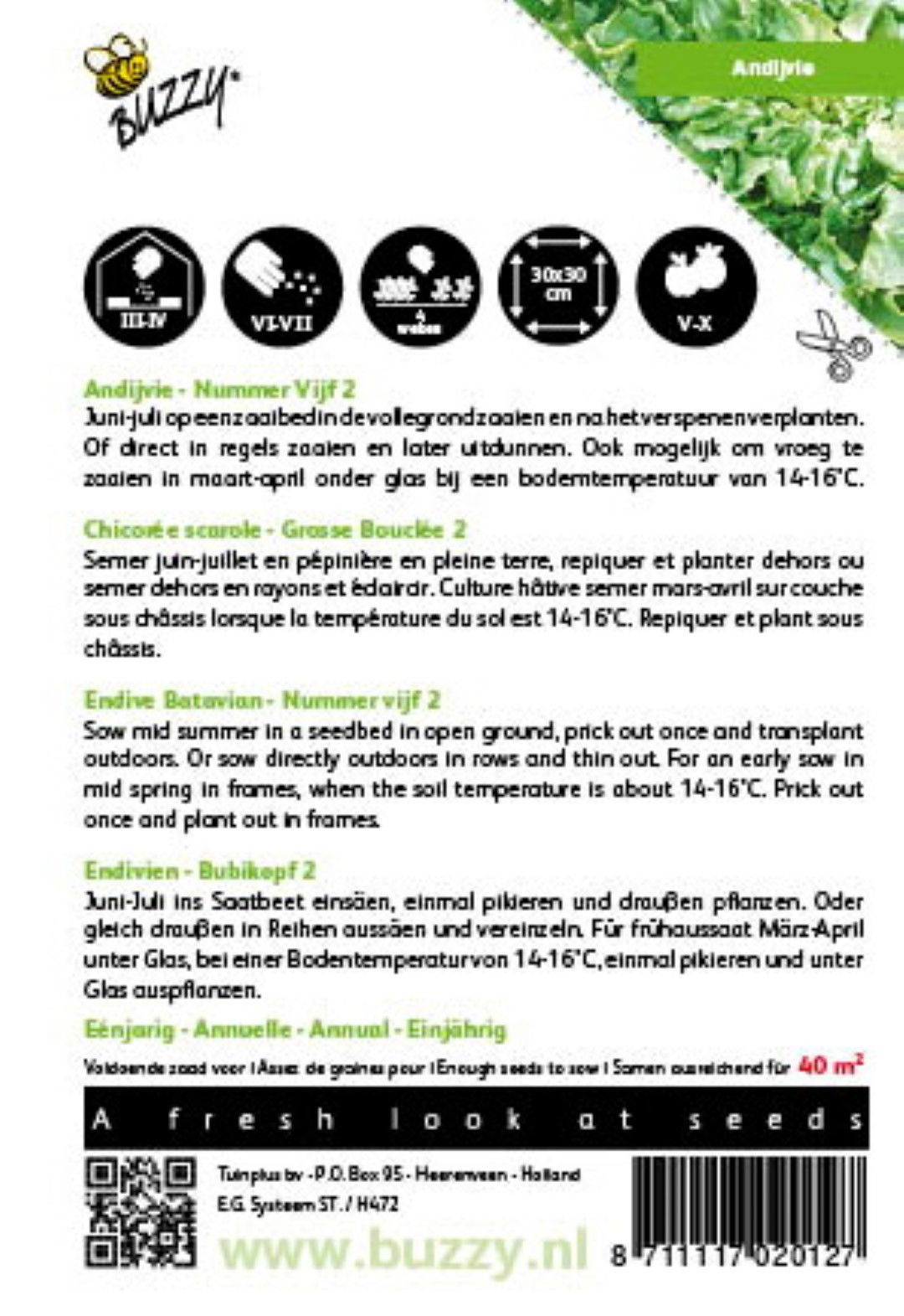 https://cdn.warentuin.nl/media/catalog/product/1/7/1778711117020127_1_buzzy_seeds_tuinzaden_buzzy_andijvie_nummer_vijf_2_5eba.jpeg