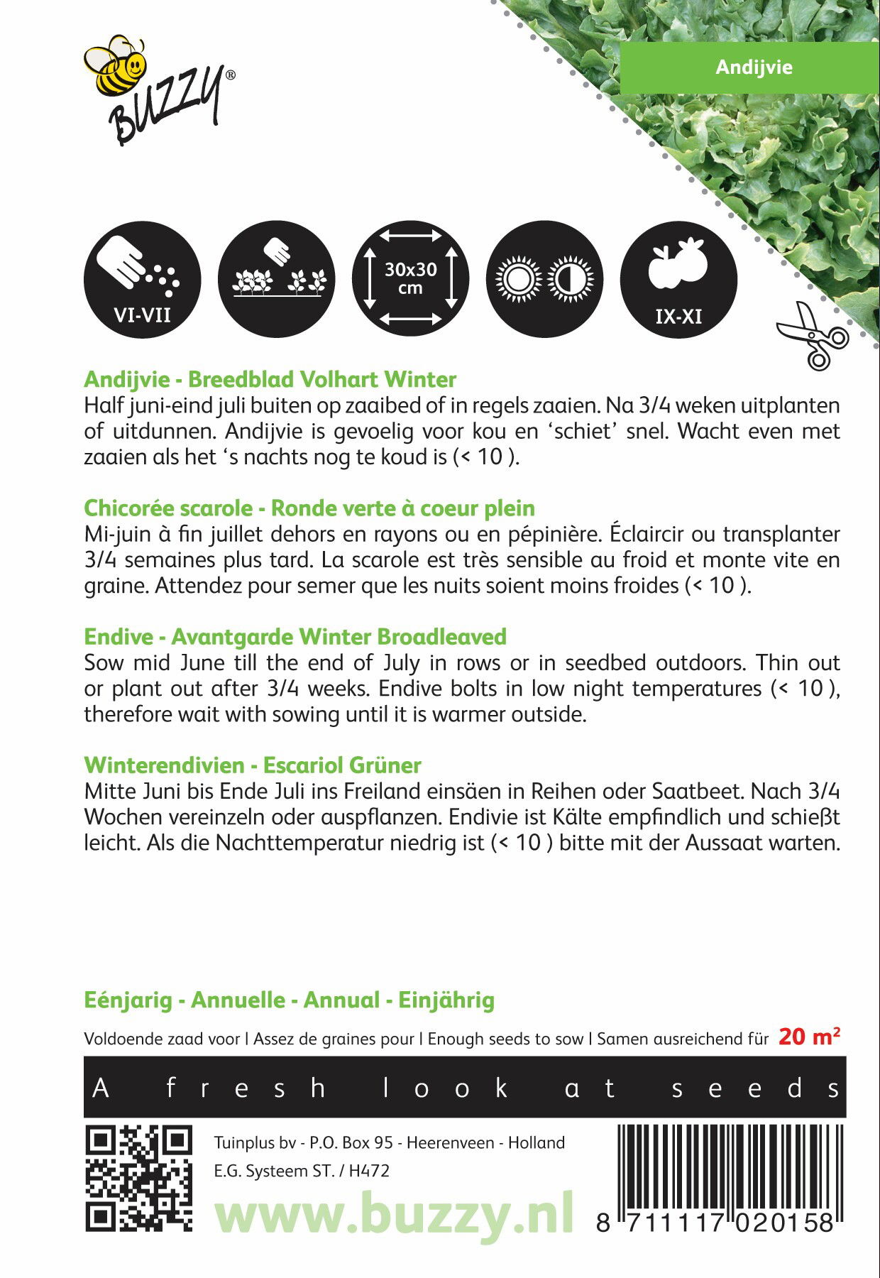https://cdn.warentuin.nl/media/catalog/product/1/7/1778711117020158_1_buzzy_seeds_tuinzaden_buzzy_andijvie_breedblad_volhart_winte_669e.jpeg