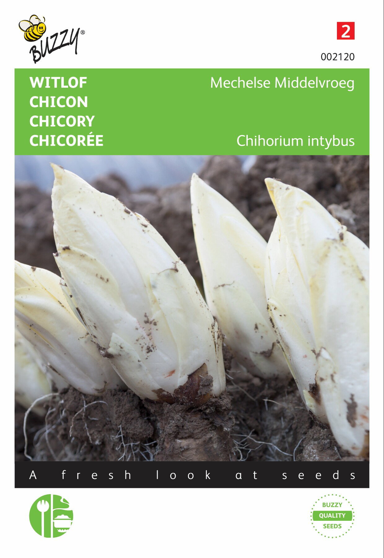 https://cdn.warentuin.nl/media/catalog/product/1/7/1778711117021209_buzzy_seeds_tuinzaden_buzzy_witlof_mechelse_middenvroeg_4e01.jpeg