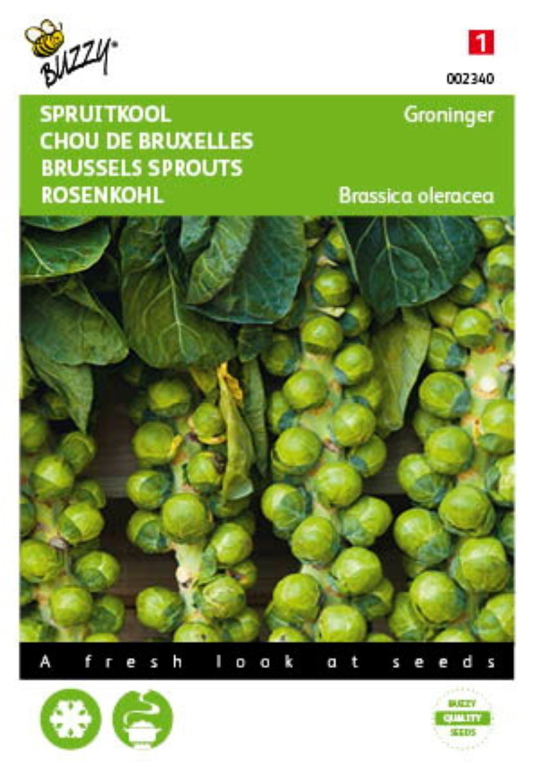 Sprossenkohl Groninger Samen