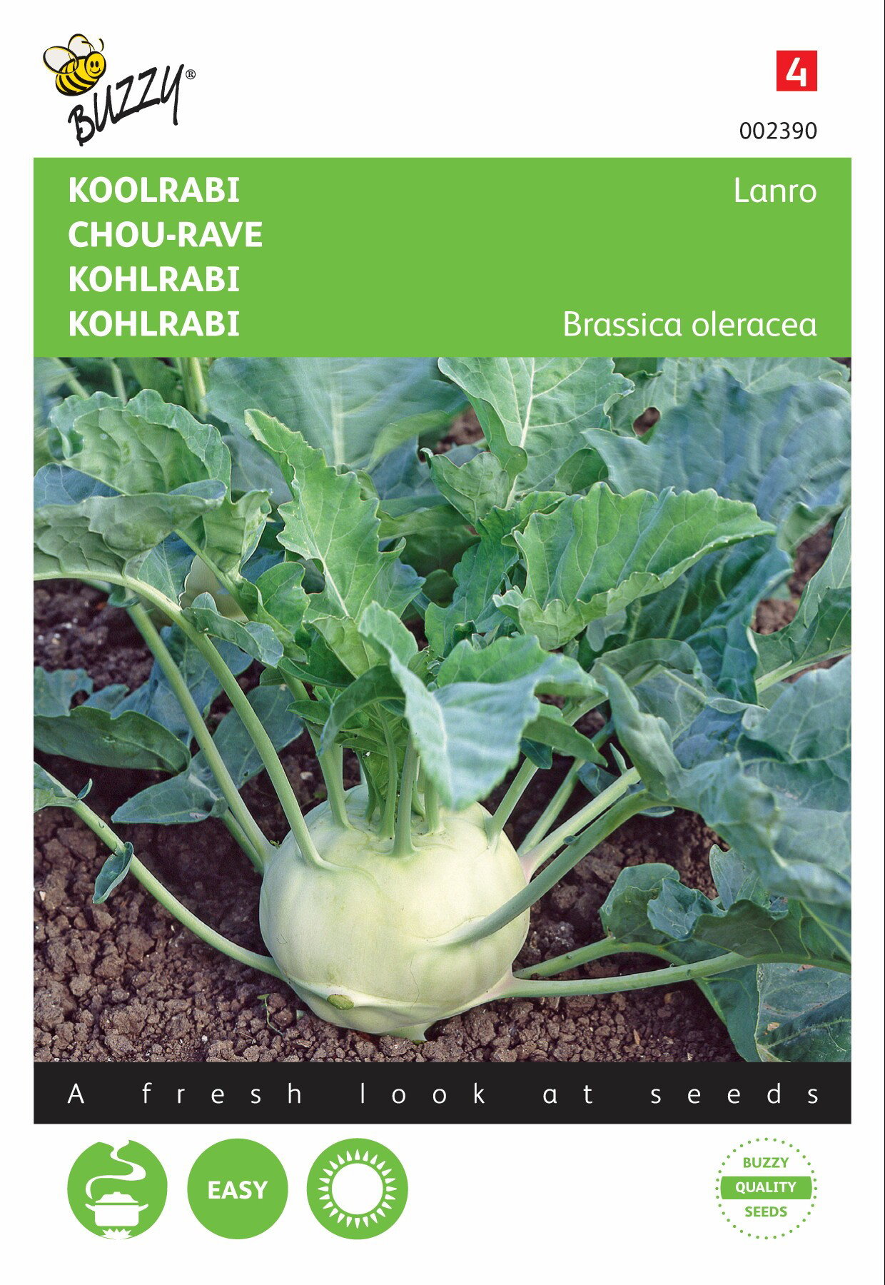 Saatgut Kohlrabi Lanro