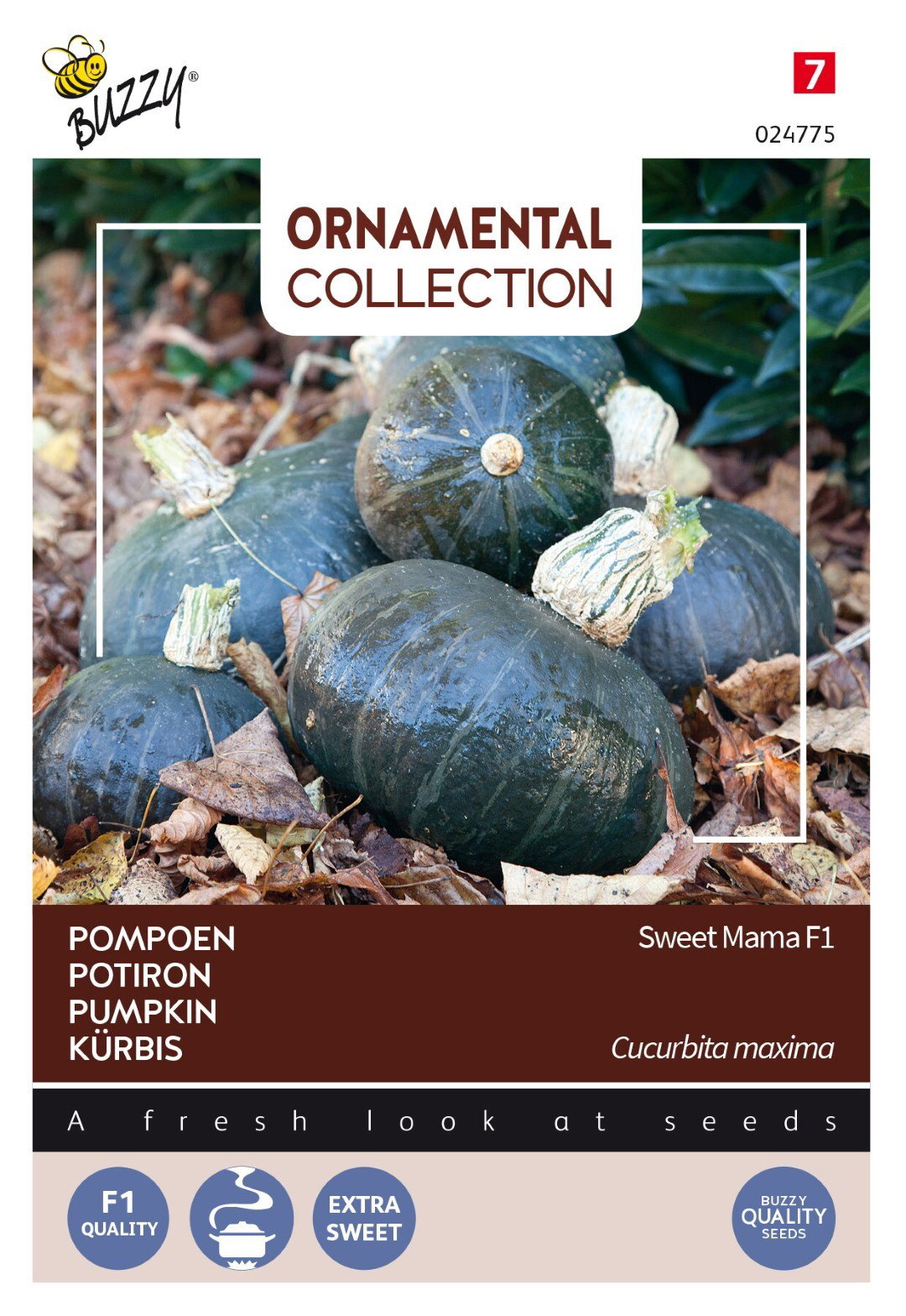 https://cdn.warentuin.nl/media/catalog/product/1/7/1778711117024750_thema_series_tuinzaden_buzzy_ornamental_pompoen_sweet_mama_f1_3262.jpeg