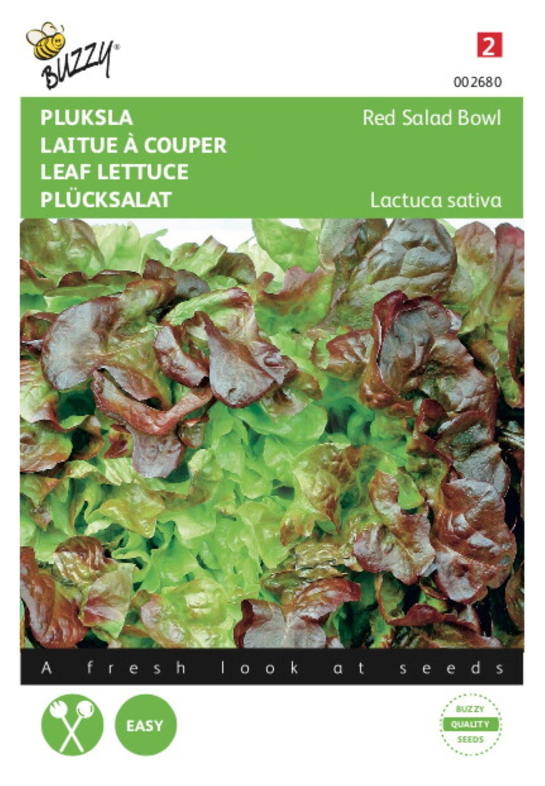 Saatgut Schnittsalat Red Oakleaf