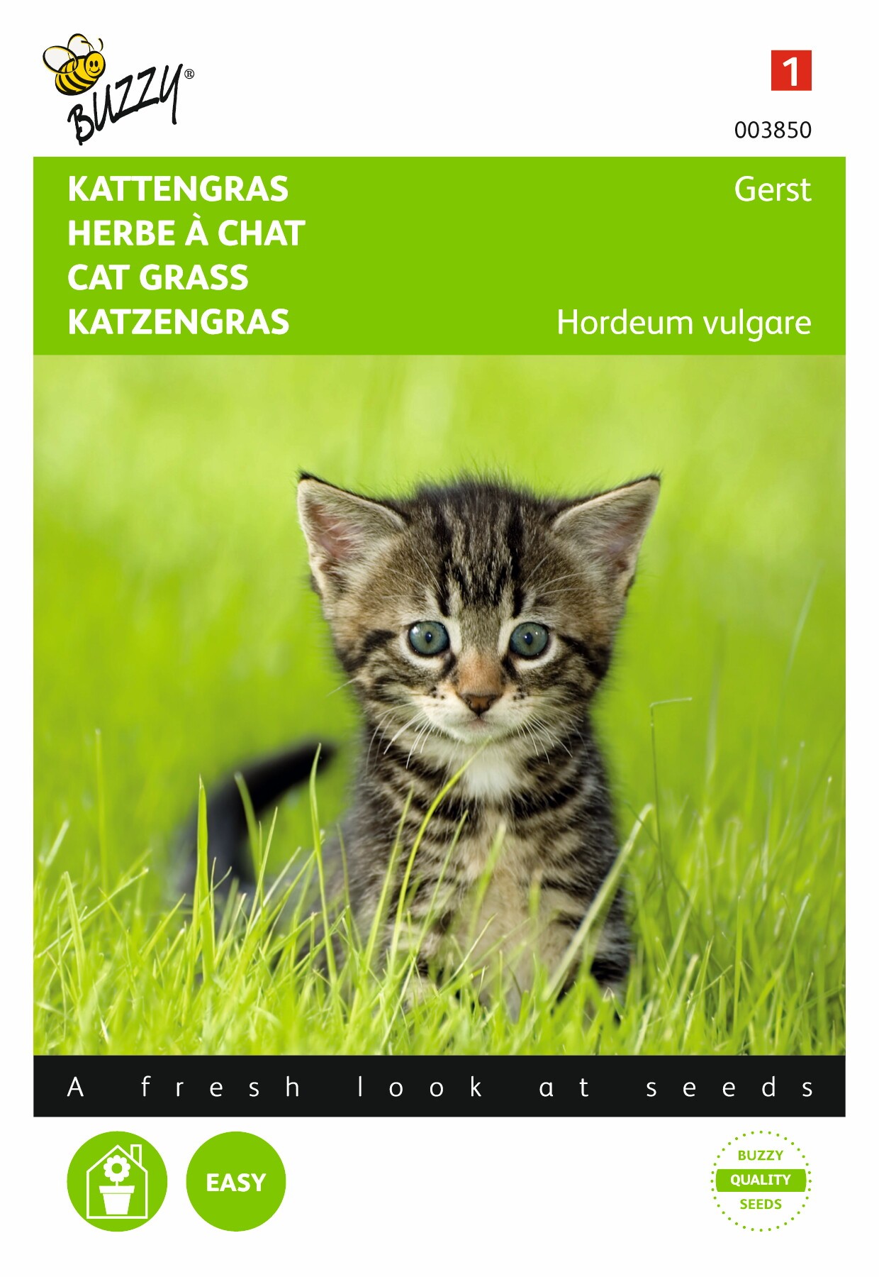 Agrandir l'image de Zaden Kattengras Gerst Buzzy https://cdn.warentuin.nl/media/catalog/product/1/7/1778711117038504_buzzy_seeds_tuinzaden_buzzy_kattengras_gerst_6f4c.jpeg