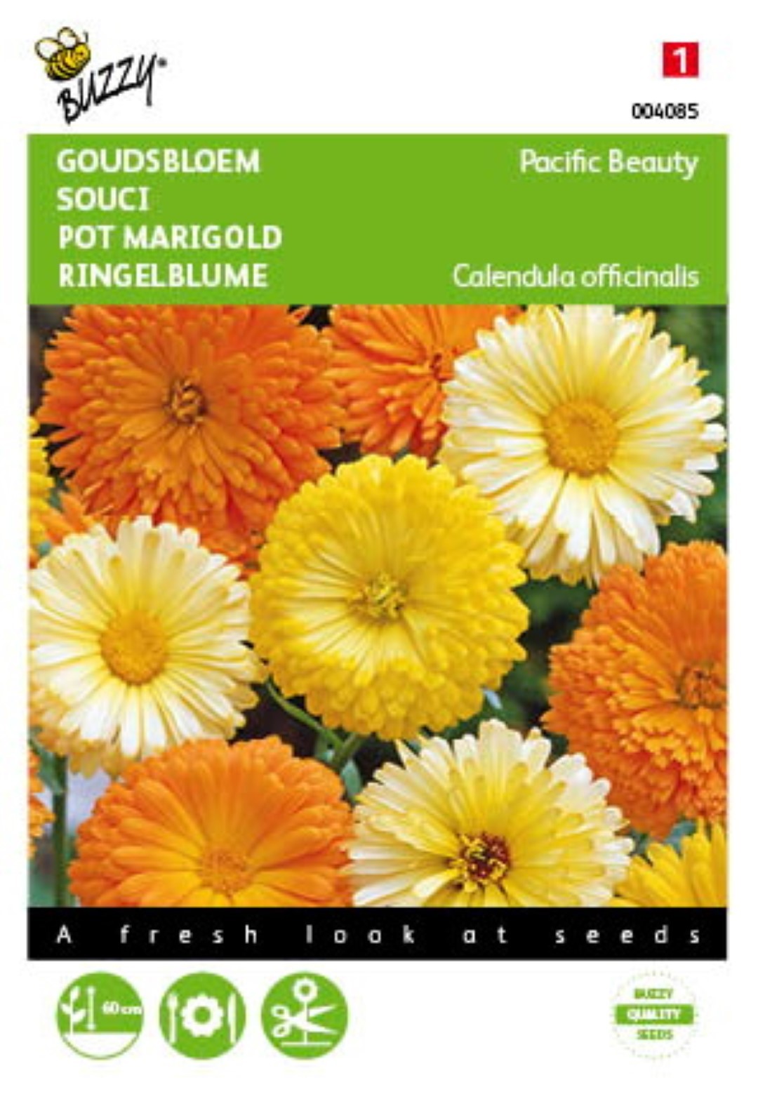 Samen Calendula Ringelblume Pacific Beauty gemischt