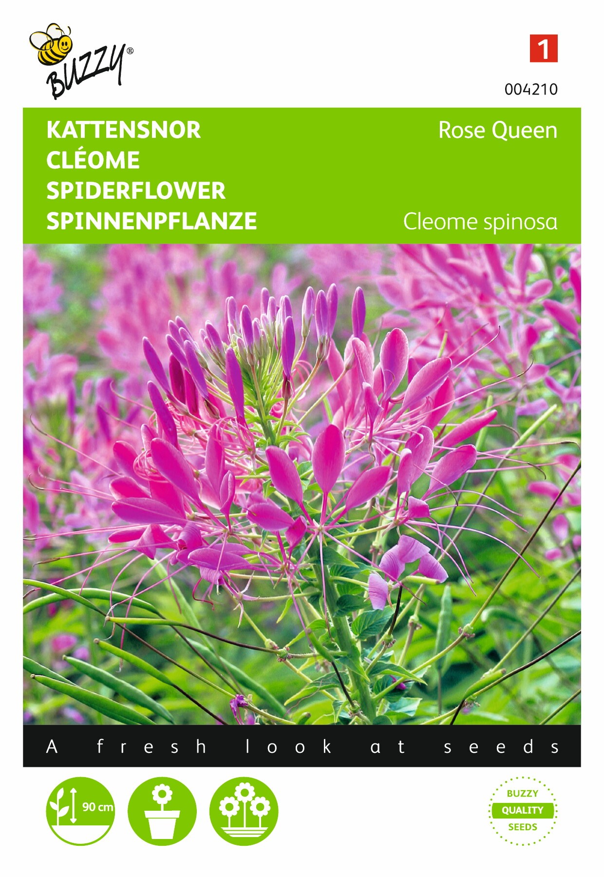 https://cdn.warentuin.nl/media/catalog/product/1/7/1778711117042105_buzzy_seeds_tuinzaden_buzzy_cleome_kattensnor_rose_queen_d88f.jpeg