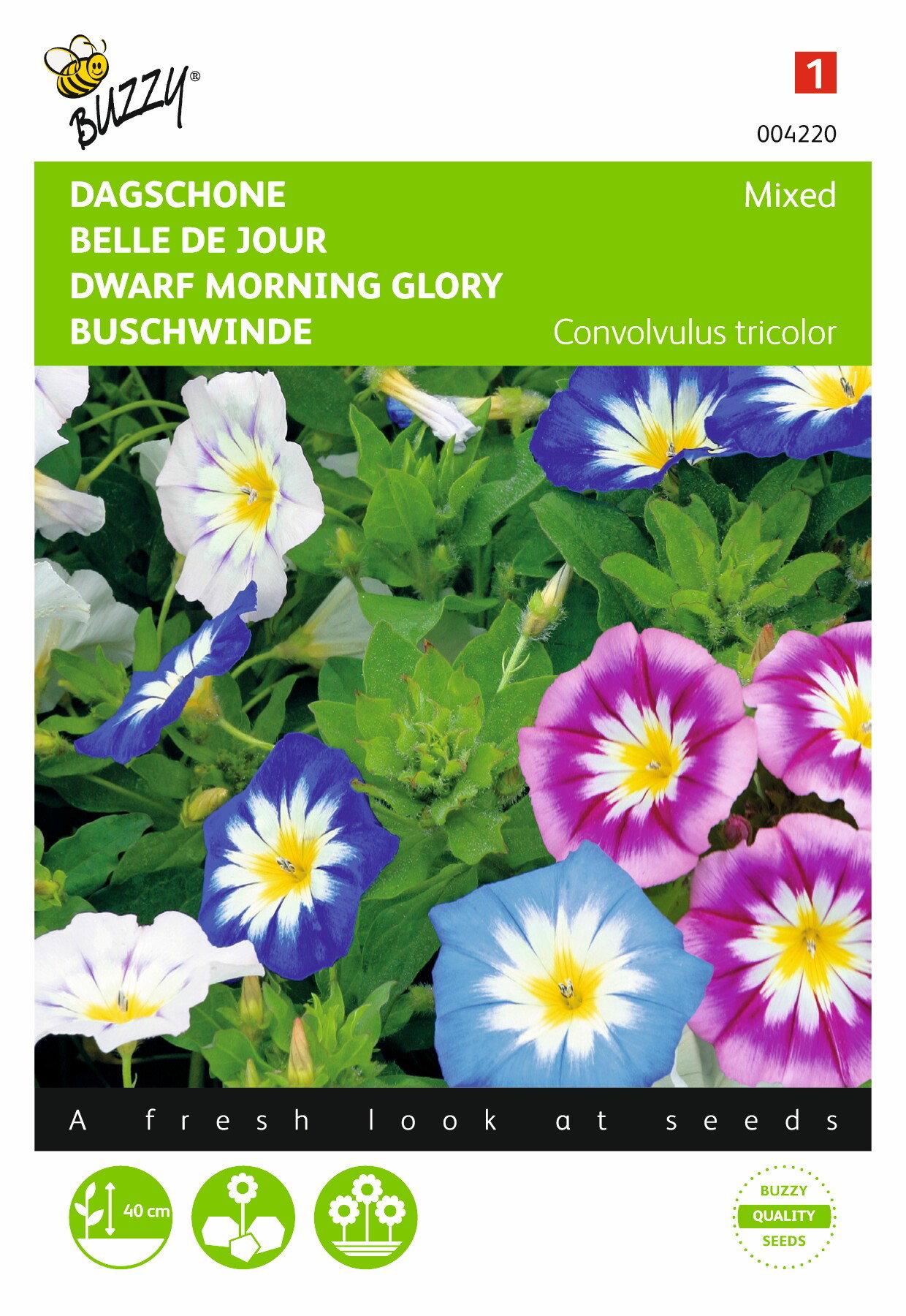 https://cdn.warentuin.nl/media/catalog/product/1/7/1778711117042204_buzzy_seeds_tuinzaden_buzzy_convolvulus_dagschone_gemengd_b7ef.jpeg