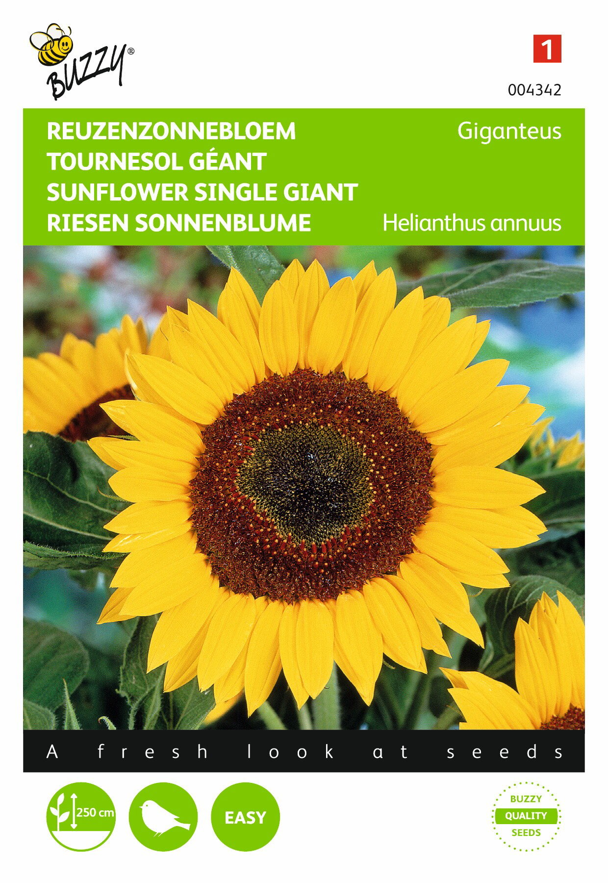 https://cdn.warentuin.nl/media/catalog/product/1/7/1778711117043423_buzzy_seeds_tuinzaden_buzzy_helianthus_reuzenzonnebloem_gigant_b136.jpeg