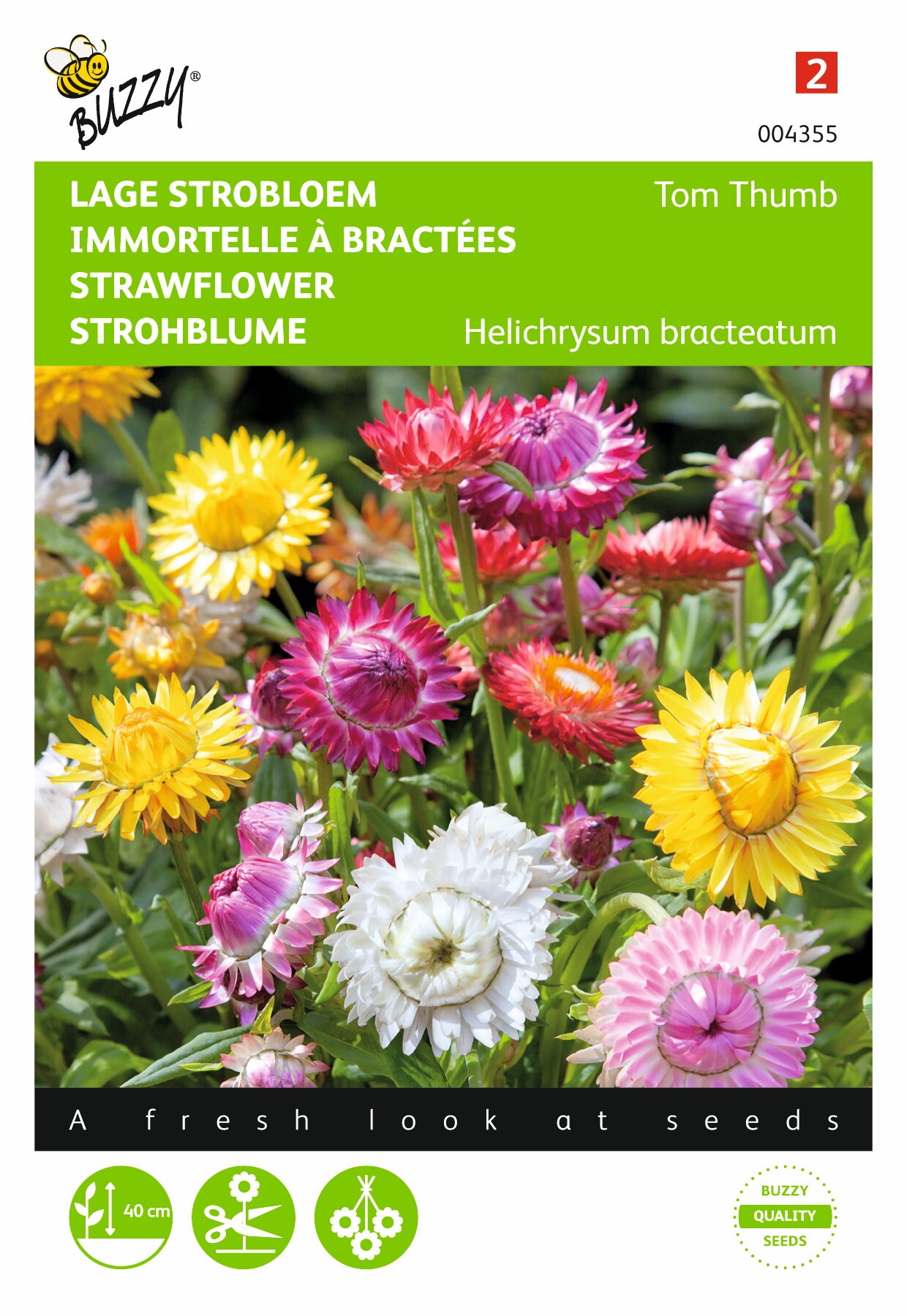 https://cdn.warentuin.nl/media/catalog/product/1/7/1778711117043553_buzzy_seeds_tuinzaden_buzzy_helichrysum_lage_strobloem_tom_thu_a8d5.jpeg