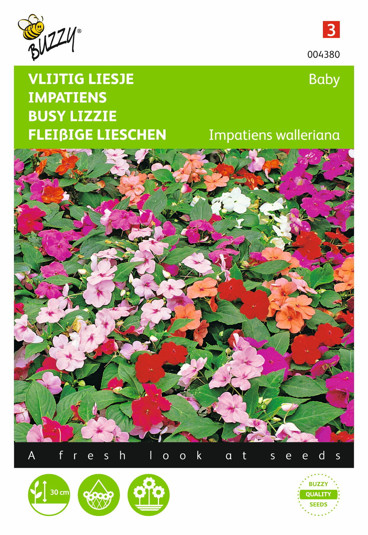 Zaden Impatiens Vlijtig Liesje Baby gemengd Buzzy - Buzzy