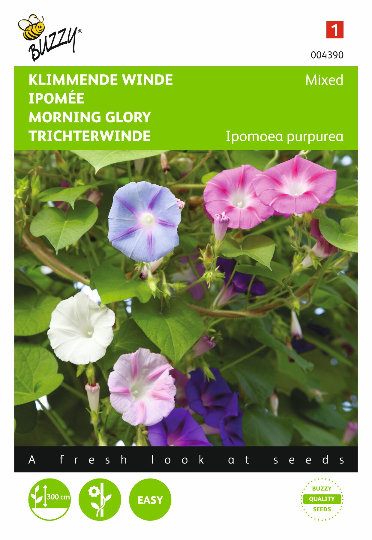 Zaden Ipomoea Klimmende winde gemengd Buzzy - Buzzy