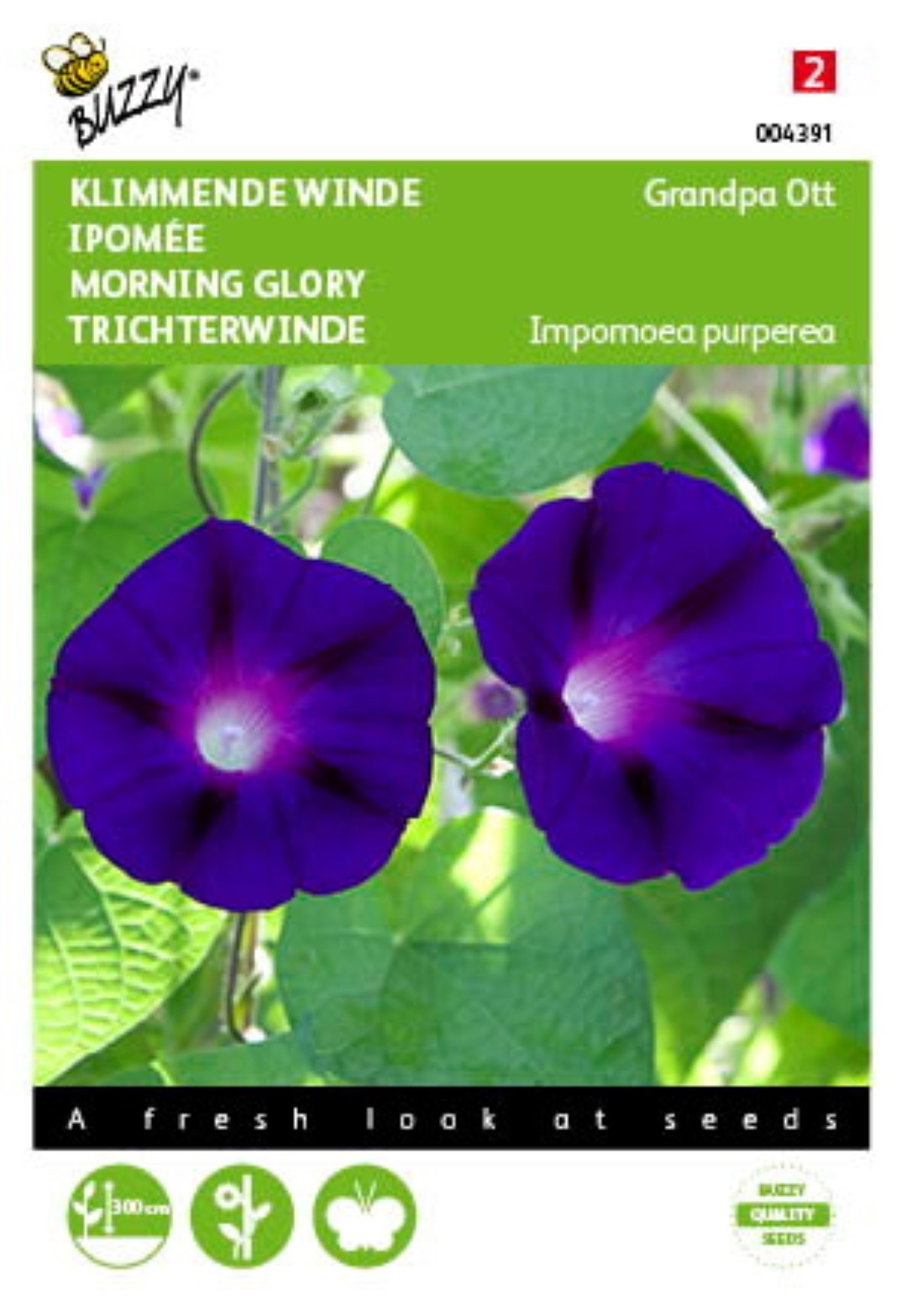 Samen Ipomoea Kletterwinde Opa Ott