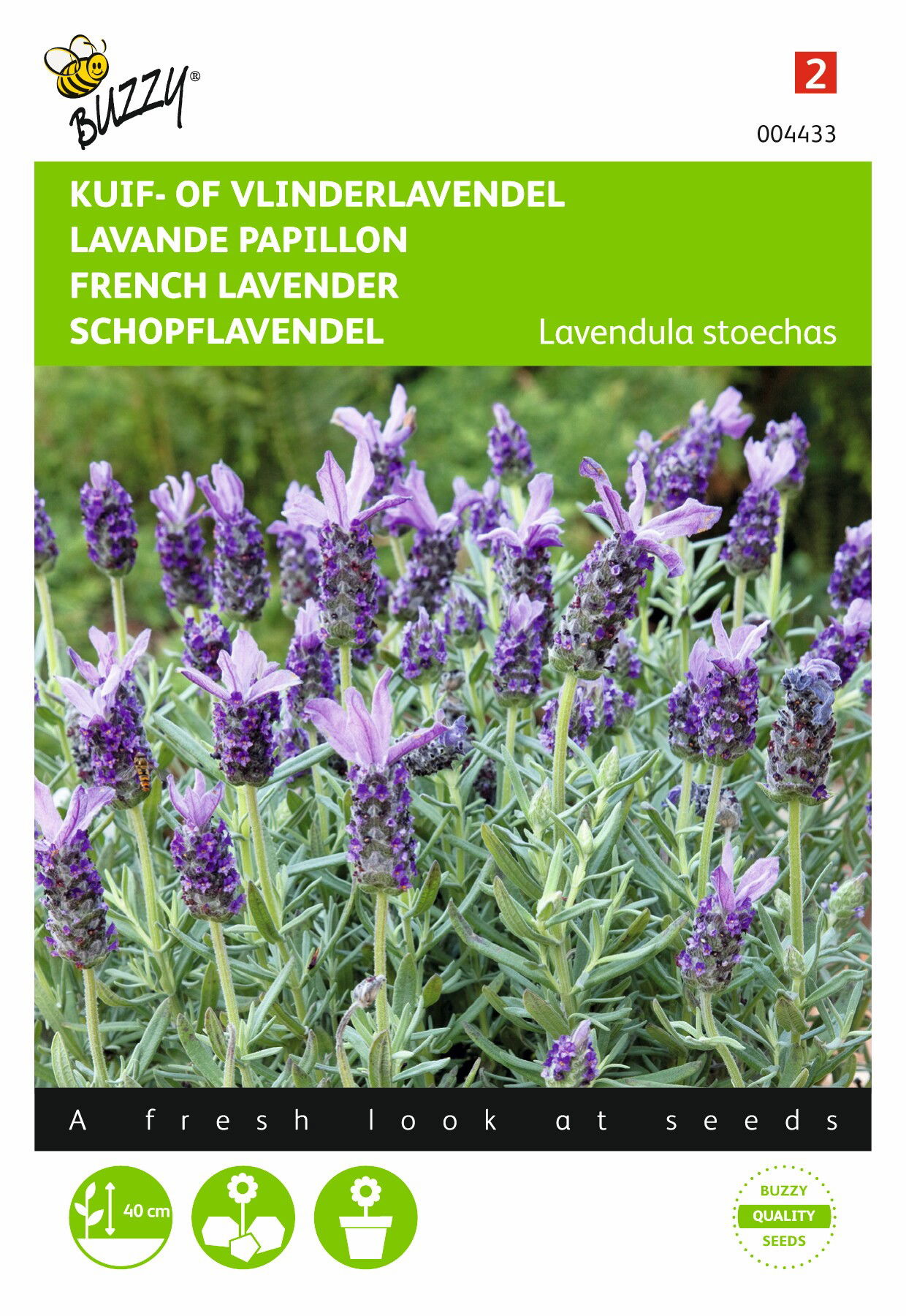 https://cdn.warentuin.nl/media/catalog/product/1/7/1778711117044338_buzzy_seeds_tuinzaden_buzzy_lavandula_kuif_of_vlinderlavendel_bbec.jpeg