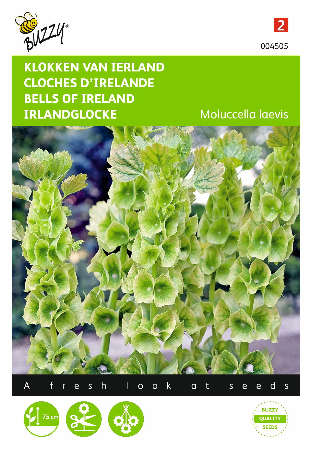https://cdn.warentuin.nl/media/catalog/product/1/7/1778711117045052_buzzy_seeds_tuinzaden_buzzy_molucella_klokken_van_ierland_25a5.jpeg